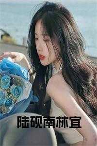 男主叫陆砚南林宜的