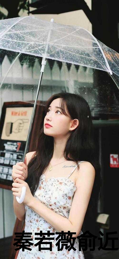 秦若鱼云洛全文