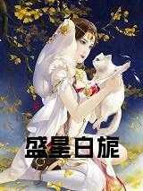 盛星白旎免费阅读