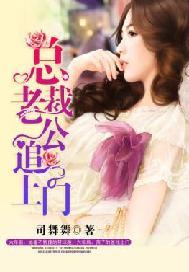 总裁老公追上门莫怡安