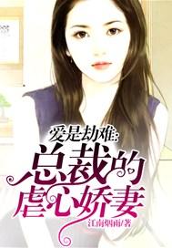 总裁劫爱