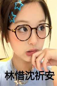 林惜沈祈安是什么