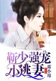 靳少的强宠小逃妻