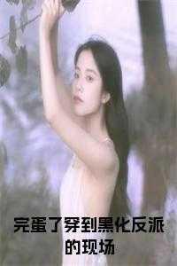 黑完反派后我穿越了全文阅读