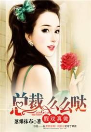 总裁假正经免费阅读