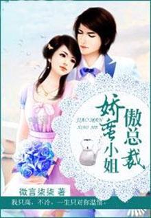 甜蜜宠婚傲娇总裁小蛮妻