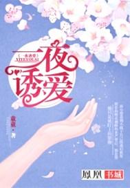 一夜后婚免费全文阅读全文
