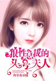 狼性总裁娇妻要逃跑免费阅读第九十六章