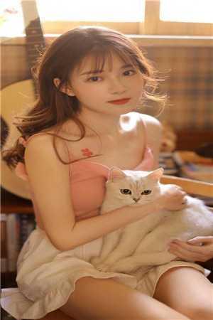 出马仙在哪个平台直播