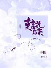 莫吉托与茶标记的车