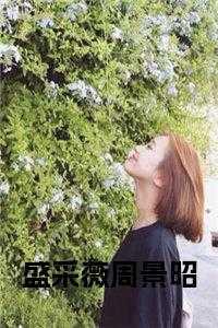 盛采薇萧景昭结局