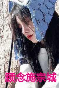 顾念施宗城在线阅读
