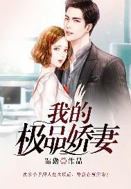 我的极品娇妻免费阅读邓飞