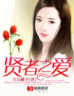 贤者之爱大结局解析