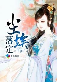 尘埃落定讲的是什么内容