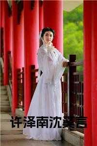 许泽南沈奚言卧底警察