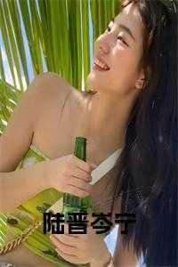 陆晋渊温宁全文免费阅读正版