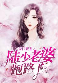 豪门蜜婚陆少宠甜妻