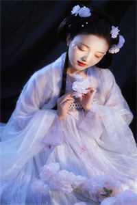 从基层到登顶的官场官梯