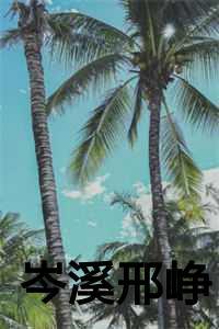 岑溪邢峥薛乔是什么