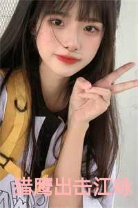 猎鹰出击电视剧演员