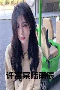 许言棠陆南辰全文免费阅读