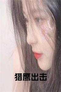 猎鹰出击在线观看国语