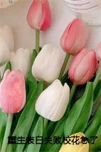 重生表白失败校花急了作者