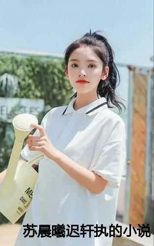 迟轩执和苏晨曦的叫什么