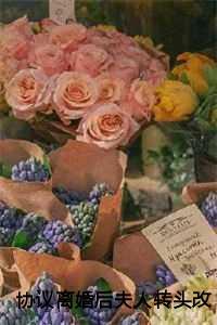 协议离婚后夫人转头改嫁了