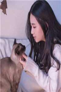 我在末世卖房子