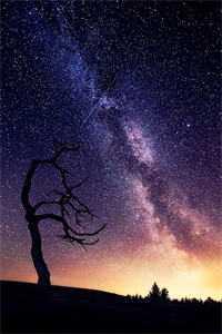 桃源小神医全文