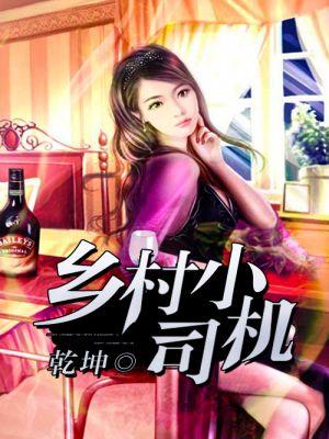 超级司机免费阅读