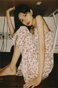 主角林遇免费阅读