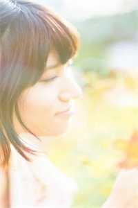 阅读网电脑网页版