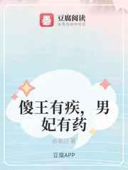 傻王爷的男妃
