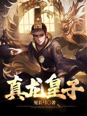 真龙皇故事