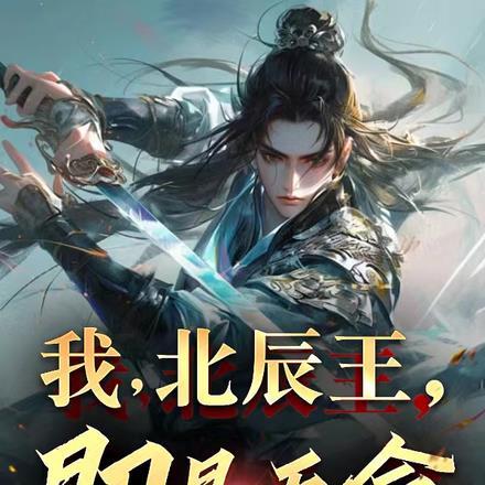 北辰是哪部的男主角