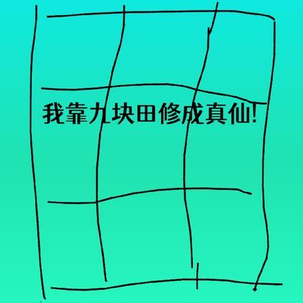 我靠九个儿子惊艳了全球免费