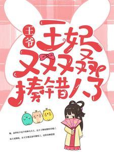 王爷王妃电视剧免费观看