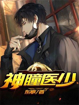 神瞳医少叶修TXT