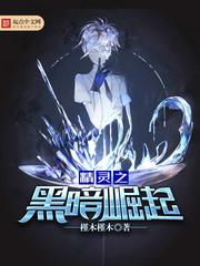 精灵之黑暗崛起TXT完整版