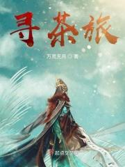 寻茶之旅读后感