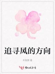 追随风的方向是什么意思