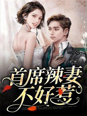 首席夫人不好惹