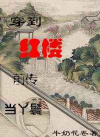 穿到红楼做王妃