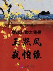 穿越红楼之我是王熙凤我怕谁百度