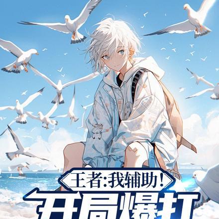 王者荣耀开局大辅