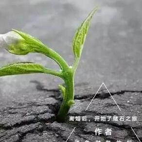 离婚后的我开始转运了无错