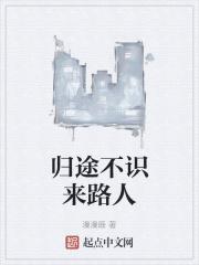 我这个老马不识归途